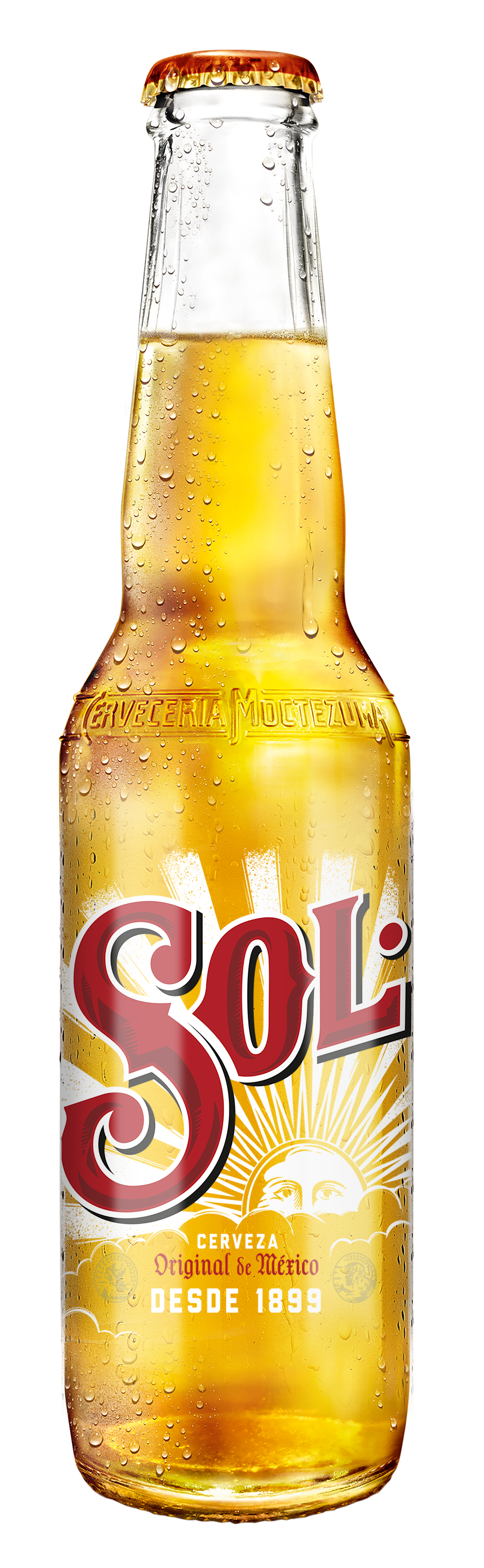 CERVEZA SOL 330 CC                                